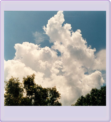 Florida Clouds